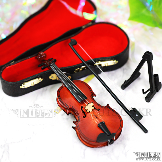 Violin M size