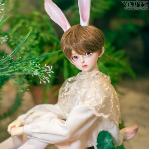 Senior Delf Bunny Ears and Tail set ver1 Limited