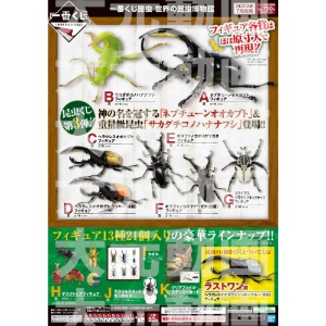 Ichiban Kuji No.1 Lottery World Insect Museum Full Set 80 Types + Last One